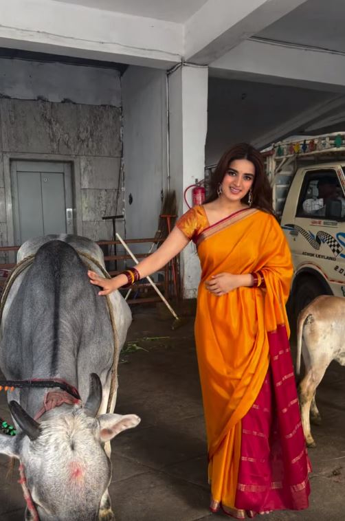 Nidhhi Agerwal fed the cows