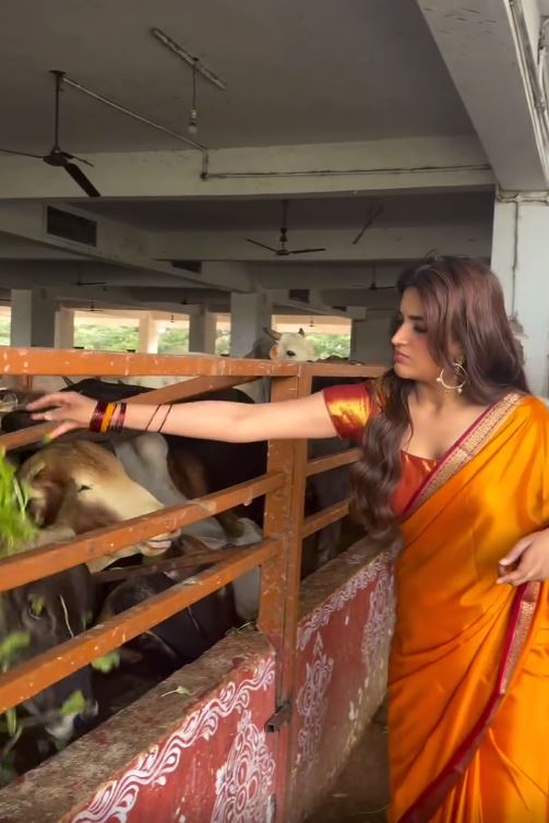 Nidhhi Agerwal fed the cows