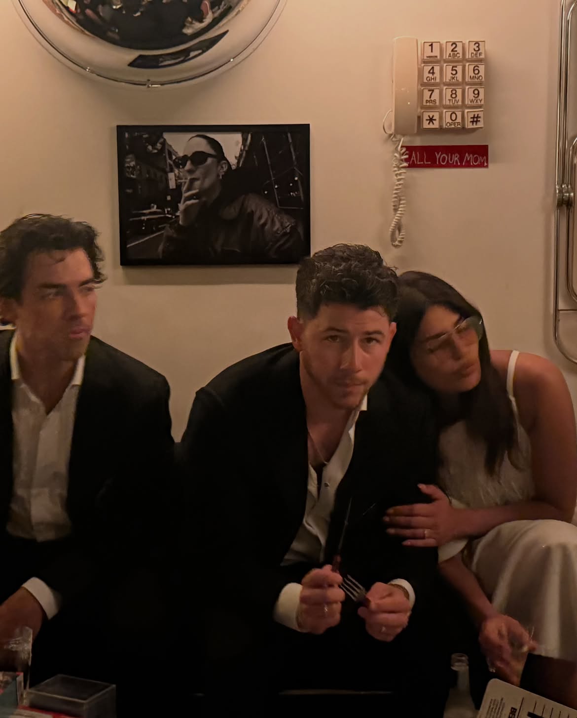 Priyanka Chopra Shares Cute Photos with Nick Jonas