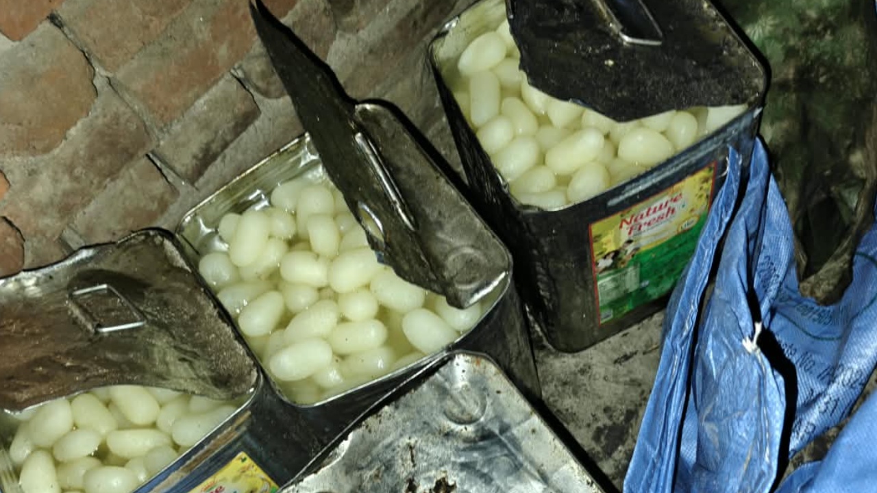 Raksha Bandhan Fake Sweets : రక్షాబంధన్ వేళ స్వీట్లు కొనుగోలు చేస్తున్నారా? అయితే, ఈ విషయాలు తెలుసుకోండి..
