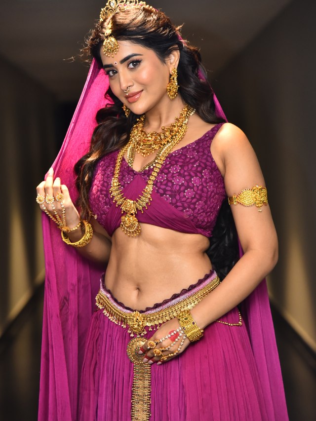 Rashi Singh Looks like Rambha