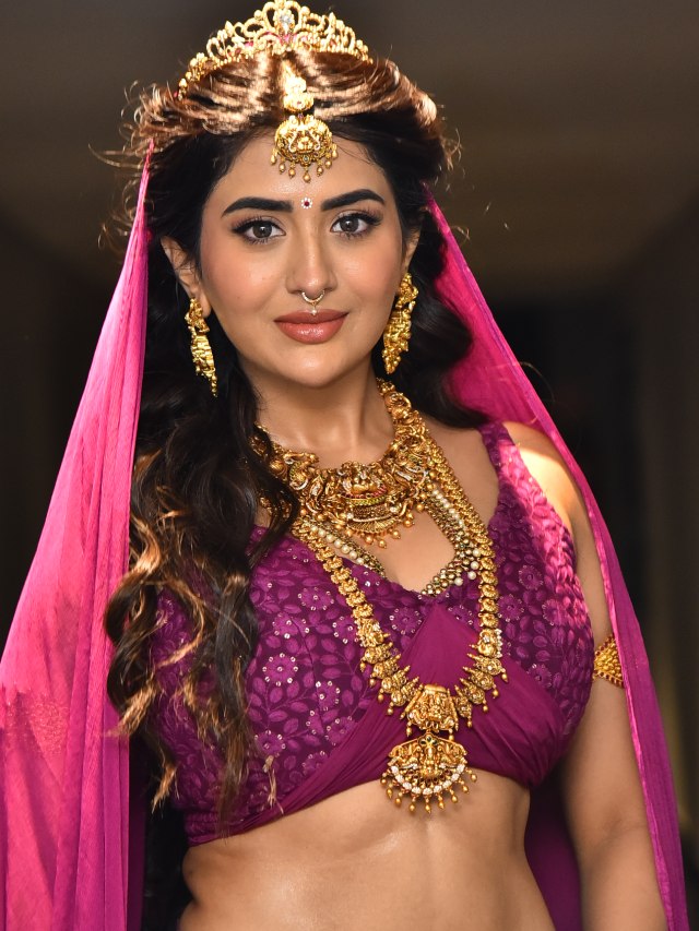 Rashi Singh Looks like Rambha