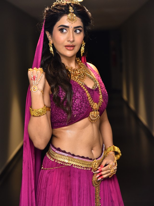 Rashi Singh Looks like Rambha