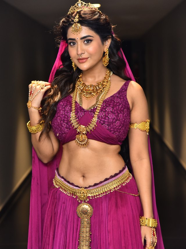 Rashi Singh Looks like Rambha