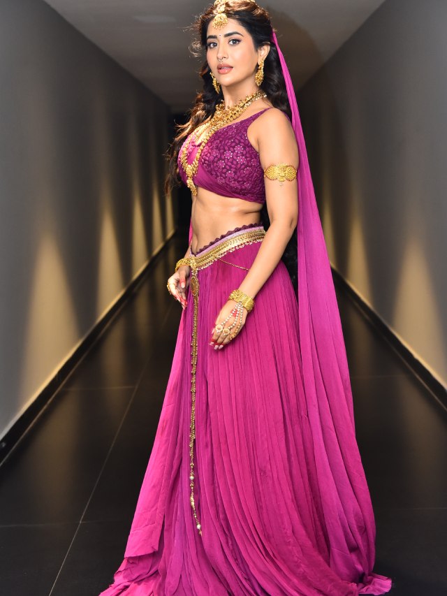 Rashi Singh Looks like Rambha