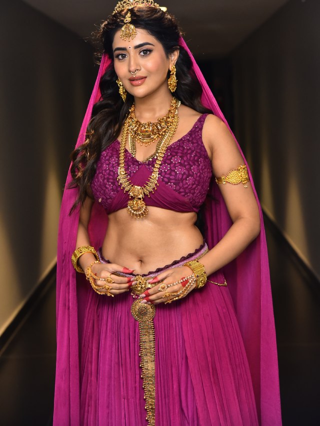 Rashi Singh Looks like Rambha