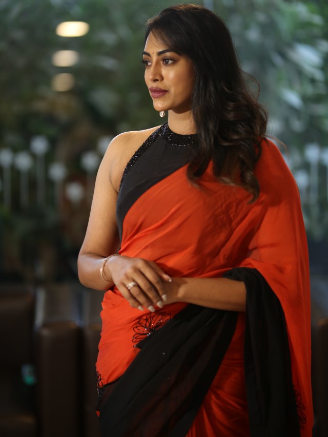 Kamakshi Bhaskarla Stunning Looks in Saree at Agadha Pre Release Event