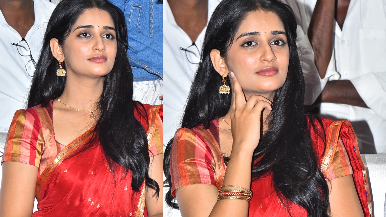 Sandhya Vasishta : అనకాపల్లి ప్రీ రిలీజ్ ఈవెంట్.. చీరకట్టులో సందడి చేసిన సంధ్య వశిష్ఠ..