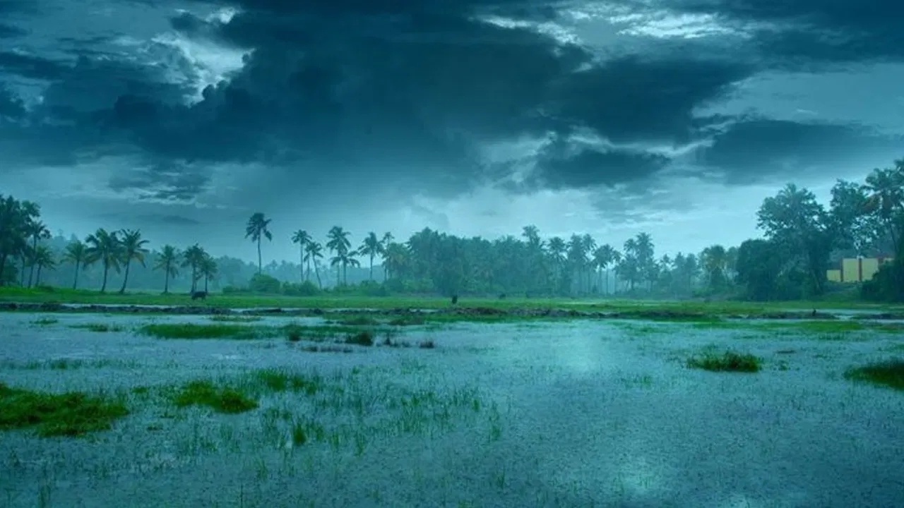 AP Rain Alert : అల్పపీడనం ఎఫెక్ట్.. ఏపీలోని ఈ జిల్లాల్లో నేడు దంచికొట్టనున్న వానలు.. పిడుగుల హెచ్చరికలు జారీ..