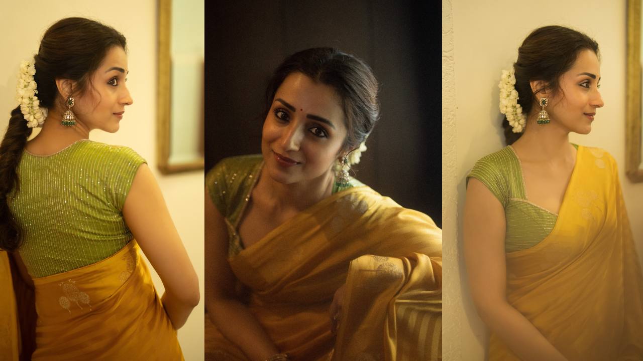 Trishakrishnan Stunning Looks in Saree