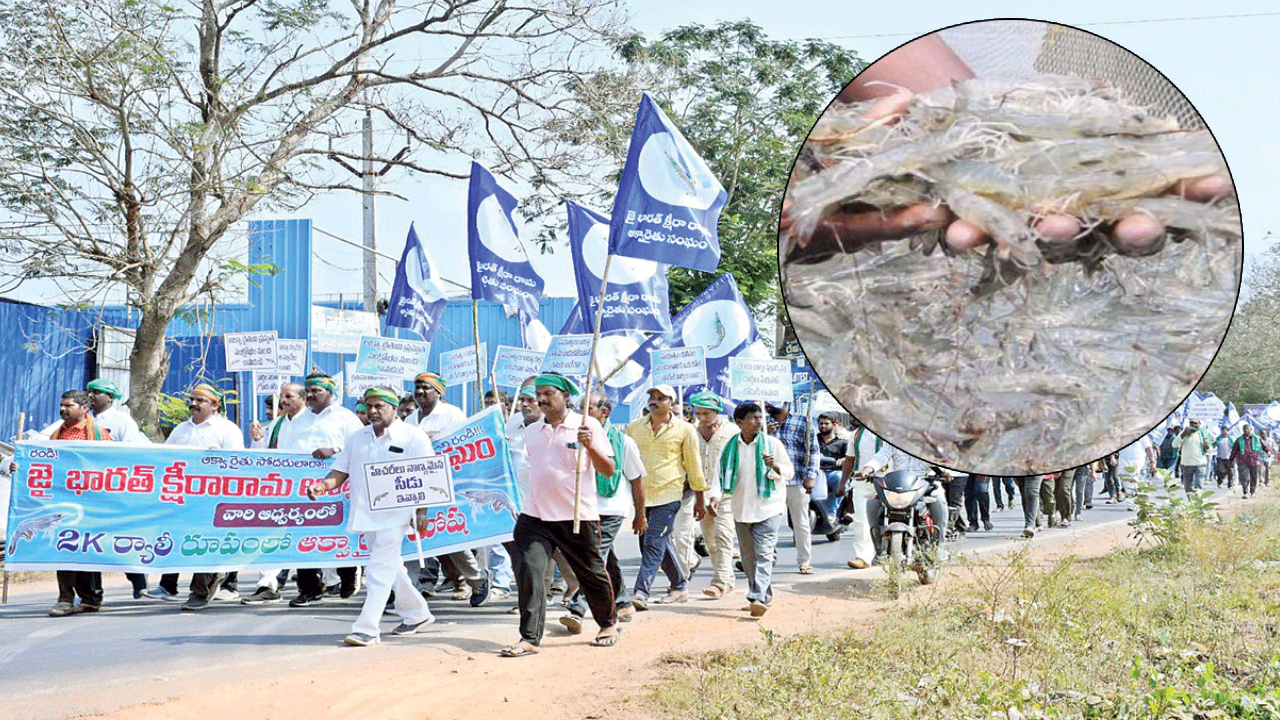 Aqua Crop Holiday: విజయవాడకు ఆక్వా రైతులు.. ‘ఆక్వా క్రాప్ హాలిడే’ పెడితే ఏం జరుగుతుందో తెలుసా?