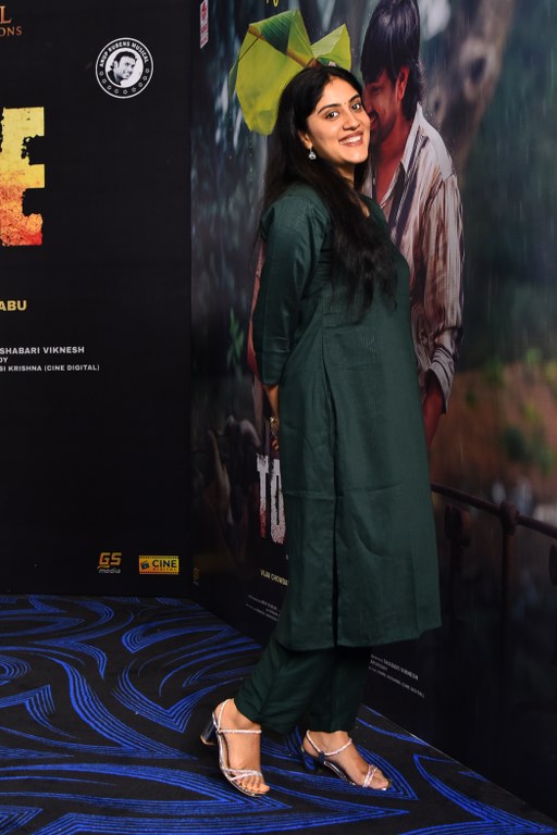 Dhanya Balakrishna Simple Looks