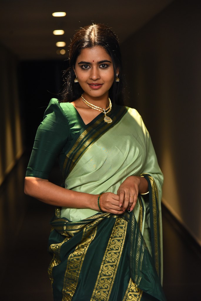 Deepa Balu Shining Looks in Saree