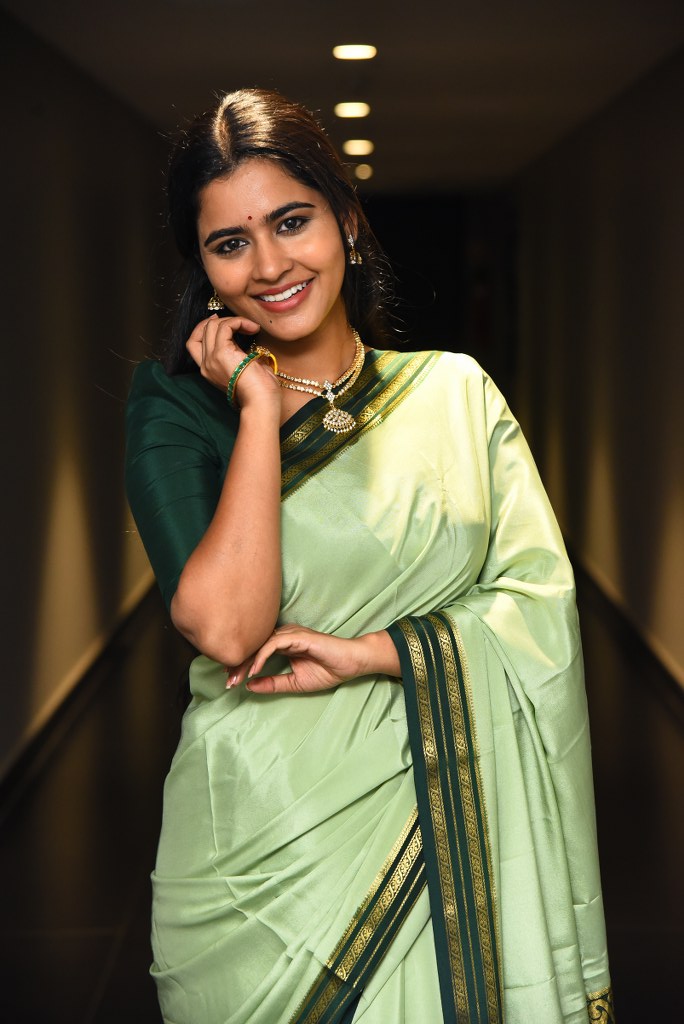 Deepa Balu Shining Looks in Saree