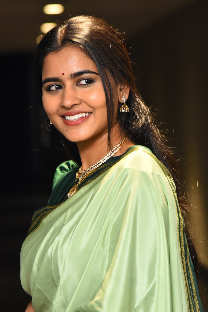 Deepa Balu Shining Looks in Saree