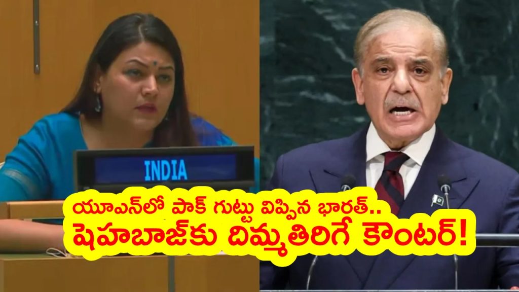 India Pakistan UNGA : యూఎన్‌లో పాకిస్థాన్ దుమ్ముదుళిపిన భారత్ ప్రతినిధి.. కీలు బొమ్మలు వస్తారు.. పోతుంటారు అంటూ..