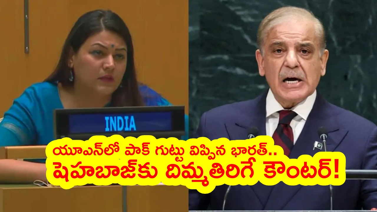India Pakistan UNGA : యూఎన్‌లో పాకిస్థాన్ దుమ్ముదుళిపిన భారత్ ప్రతినిధి.. కీలు బొమ్మలు వస్తారు.. పోతుంటారు అంటూ..