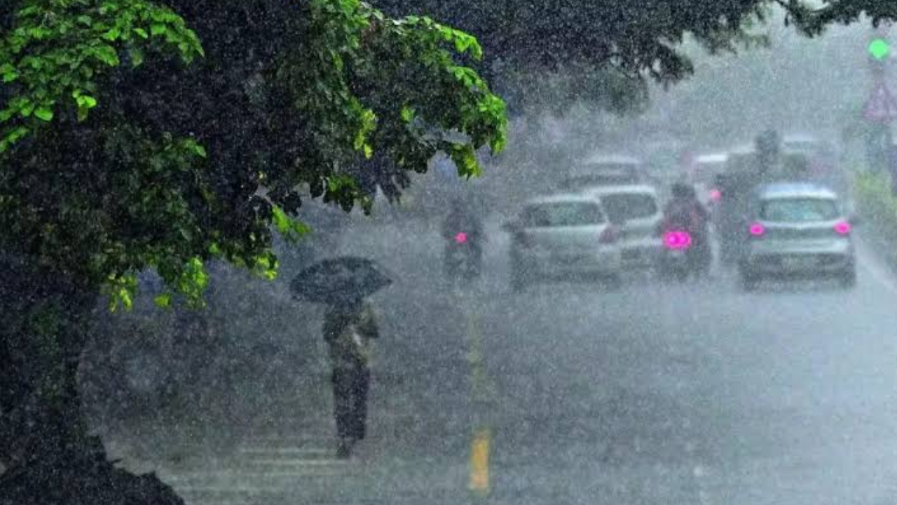 Telangana Rains: తెలంగాణలో మరో 3 రోజులు భారీ వర్షాలు.. పలు జిల్లాలకు అలర్ట్.. వాతావరణ శాఖ కీలక హెచ్చరిక!