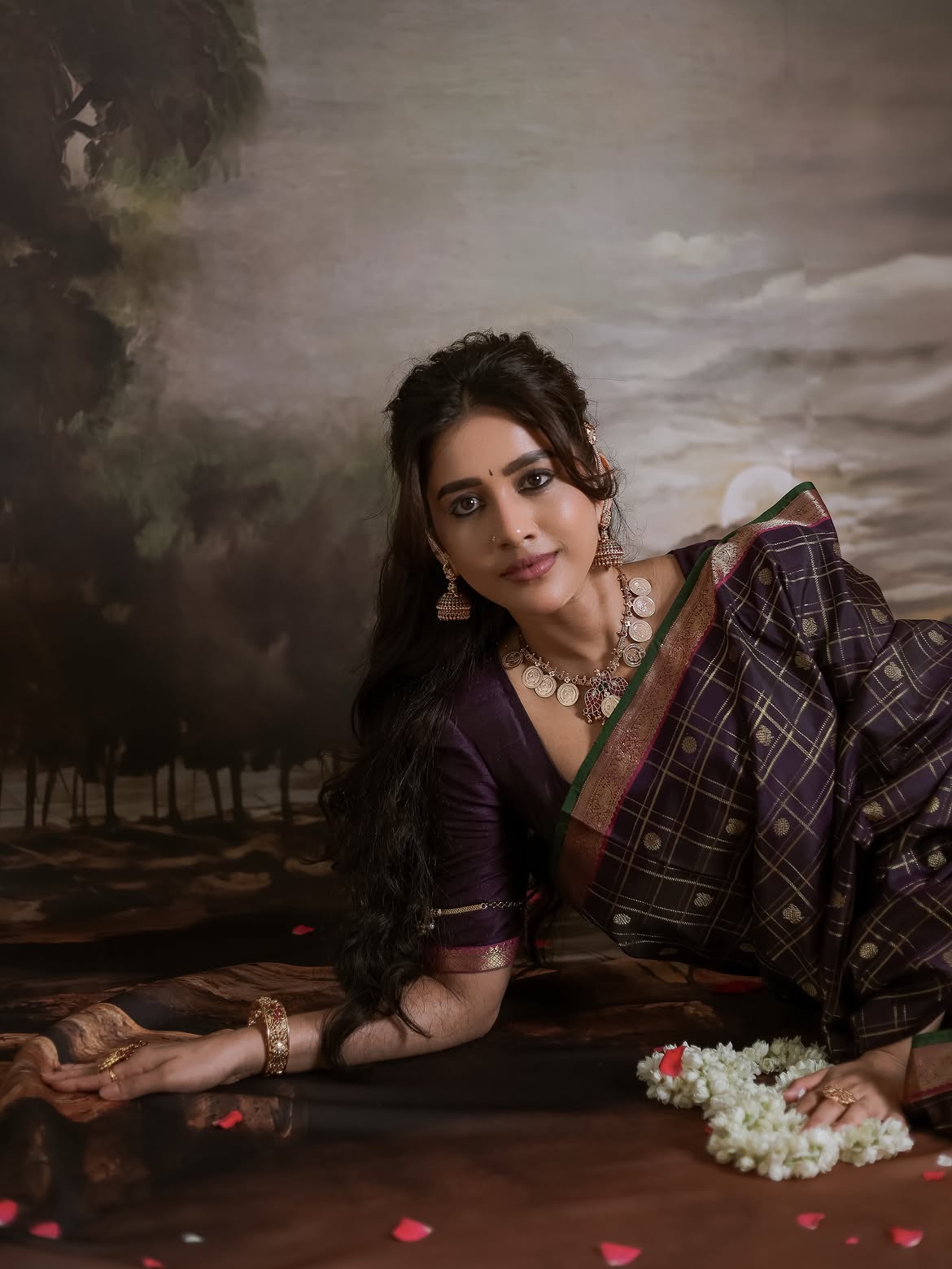 Nabha Natesh Traditional Looks