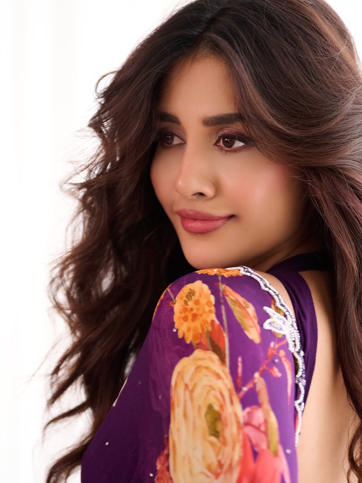 Nabha Natesh Delicacy Looks in Saree