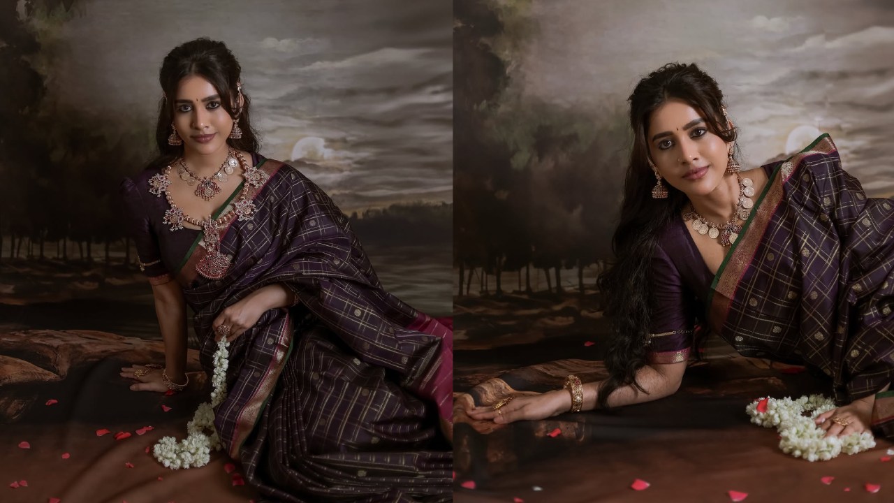 Nabha Natesh : వినాయక చవితి స్పెషల్.. ట్రెడిషినల్ లుక్స్ లో నభా నటేష్.. ఫొటోలు..