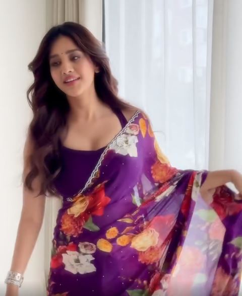 Nabha Natesh Delicacy Looks in Saree
