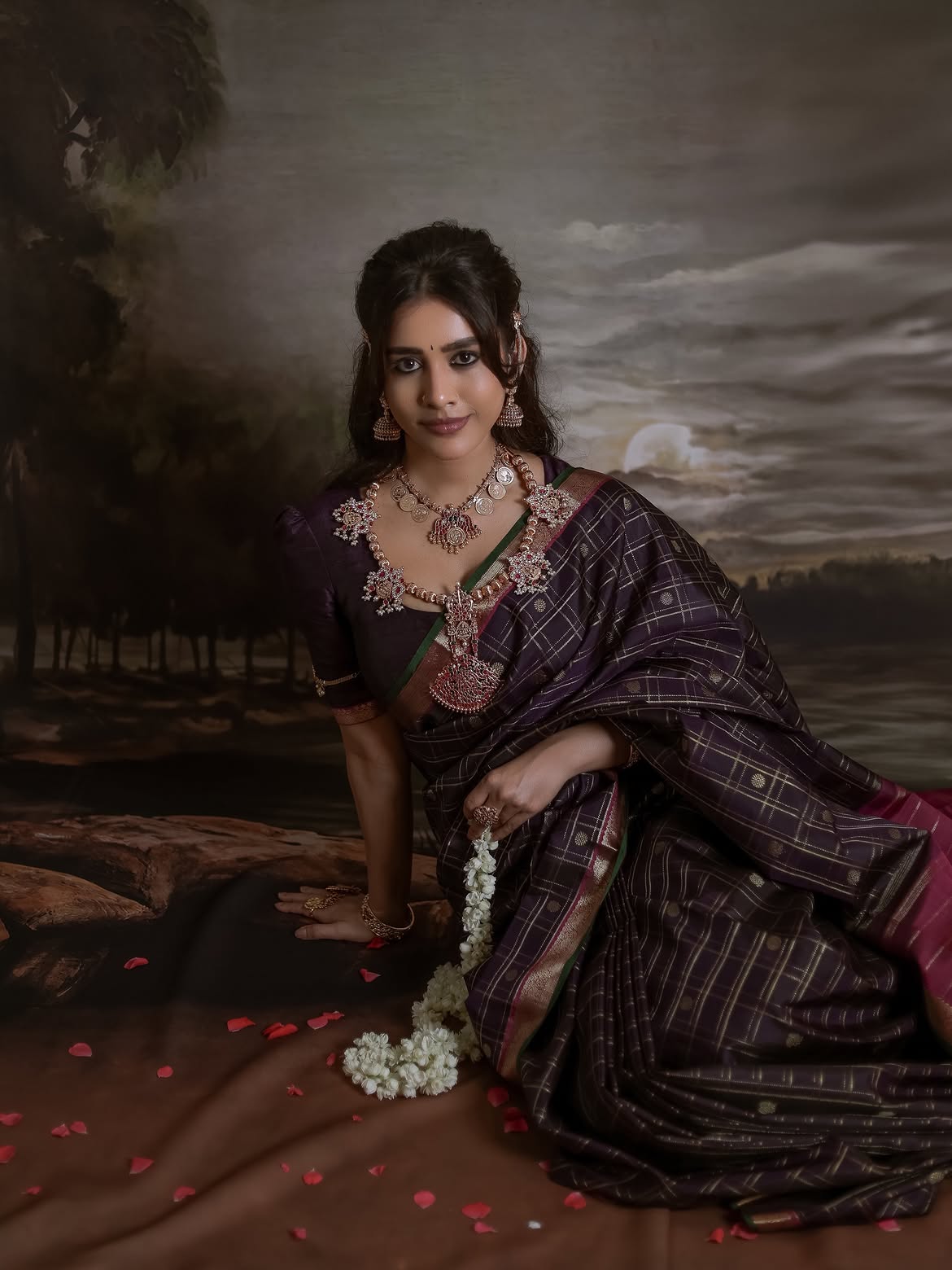 Nabha Natesh Traditional Looks