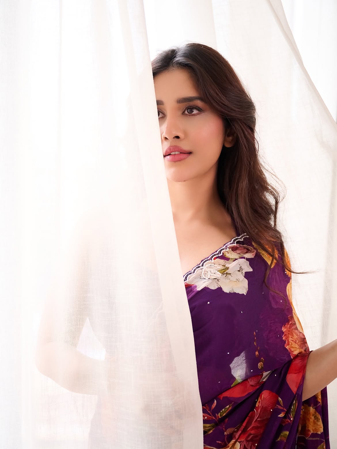 Nabha Natesh Delicacy Looks in Saree
