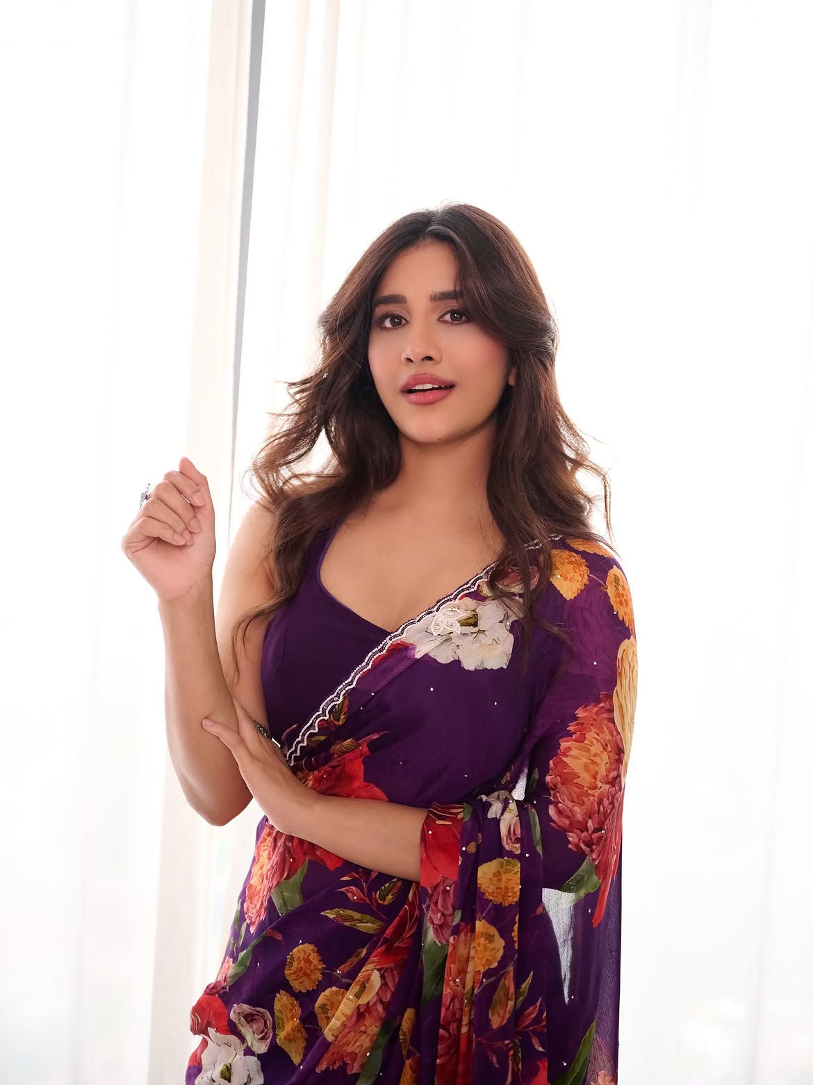 Nabha Natesh Delicacy Looks in Saree