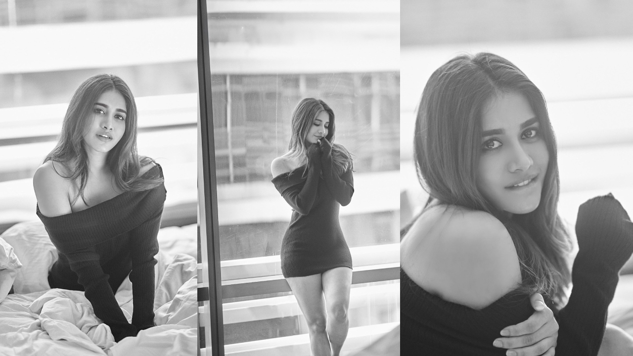Nabha Natesh : న‌టి న‌భా న‌టేష్‌.. బ్లాక్ అండ్ వైట్ ఫోటోలు..