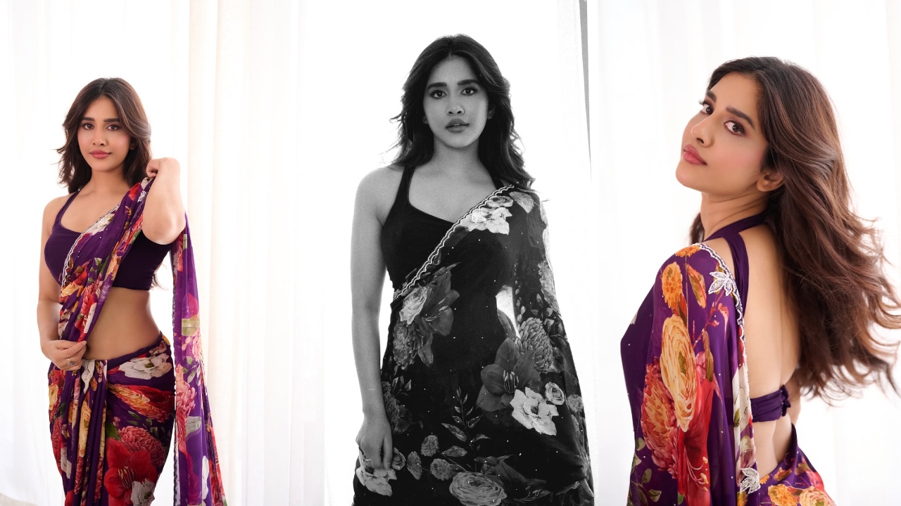 Nabha Natesh : చీరకట్టులో నాజూకు అందాలతో నభా నటేష్.. ఫొటోలు..
