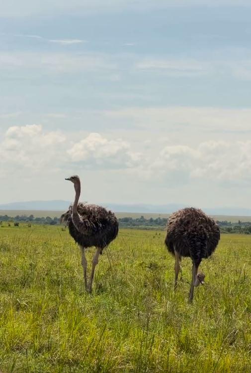 Nivetha Thomas Shares Maasai Mara National Reserve Vacation