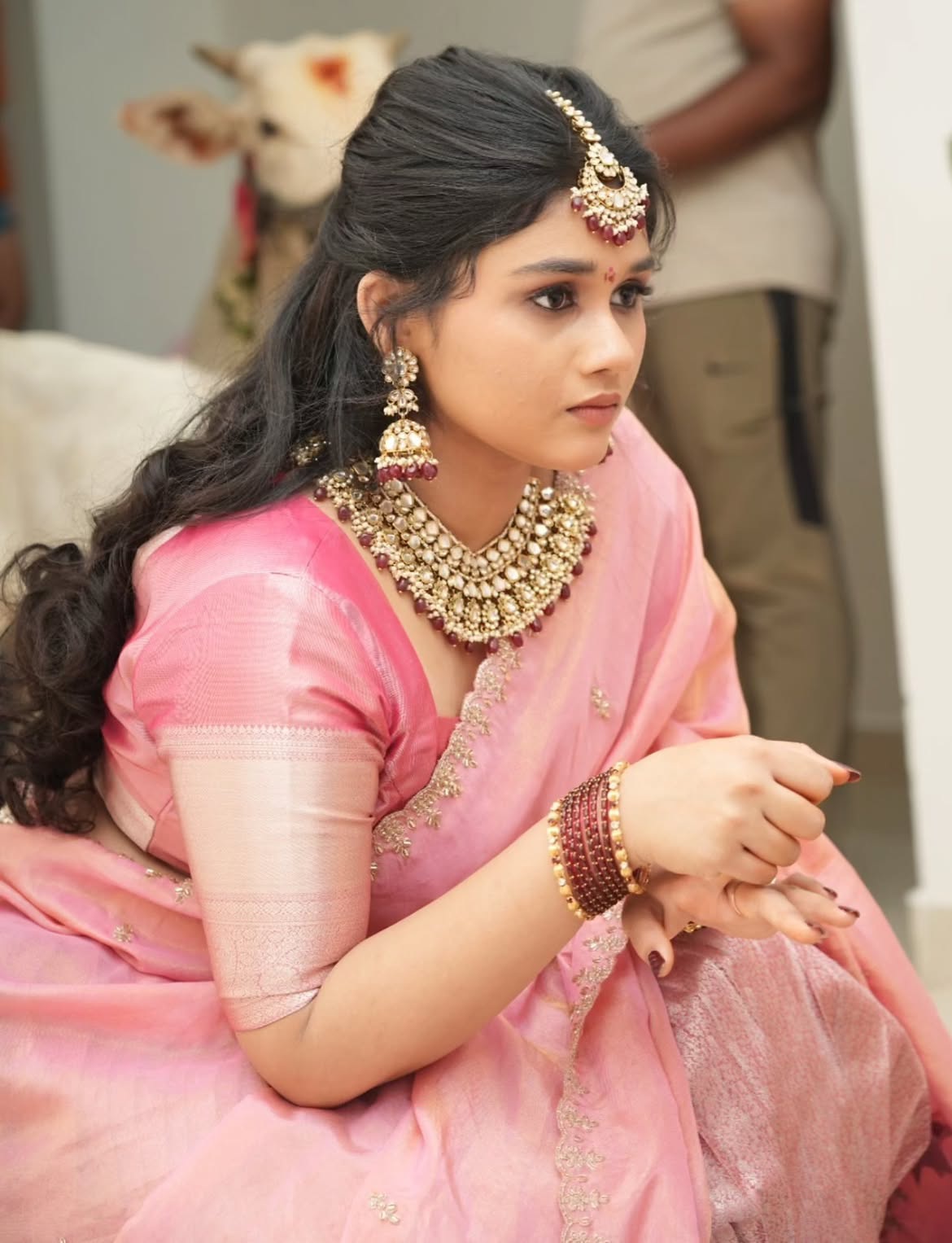 Save The Tigers Fame Sravya Dimple New House Warming Ceremony