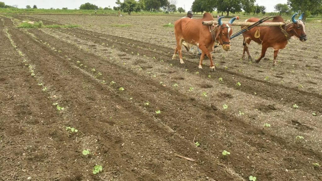 Telangana Farmers : అన్నదాతలకు శుభవార్త.. వర్షాలపై వాతావరణ శాఖ బిగ్ అప్డేట్.. ఆ వారంరోజులు వానలేవానలు.. Telangana Farmers : అన్నదాతలకు శుభవార్త.. వర్షాలపై వాతావరణ శాఖ బిగ్ అప్డేట్.. ఆ వారంరోజులు వానలేవానలు..