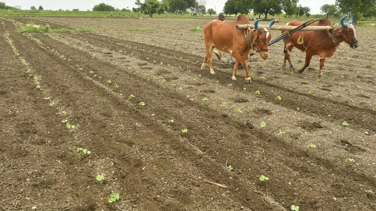 Telangana Farmers : అన్నదాతలకు శుభవార్త.. వర్షాలపై వాతావరణ శాఖ బిగ్ అప్డేట్.. ఆ వారంరోజులు వానలేవానలు..