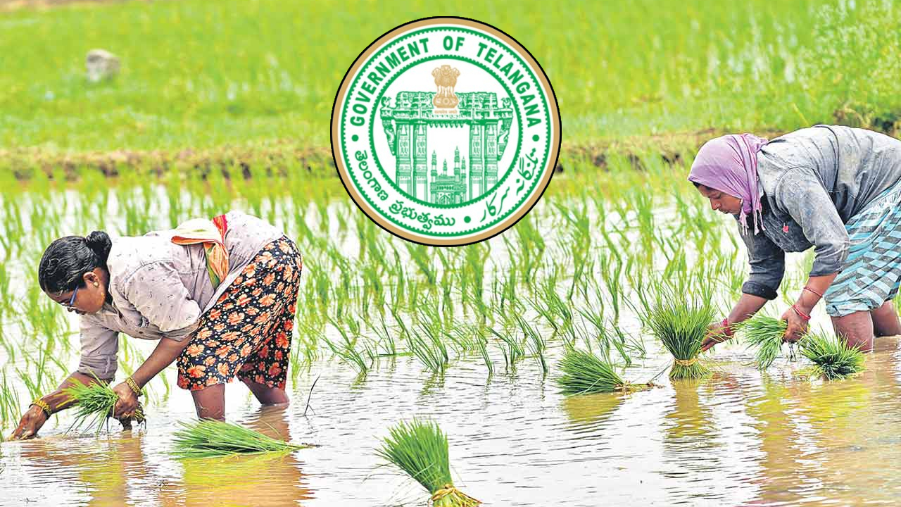 Telangana Government: తెలంగాణ రైతులకు శుభవార్త.. క్వింటాల్‌కు రూ.500 బోనస్.. రేవంత్ సర్కార్ కీలక నిర్ణయం!