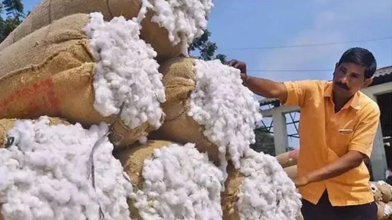 AP Govt Cotton Procurement New Guidelines : ఏపీలోని పత్తి రైతులకు అలర్ట్.. సీసీఐ కొనుగోళ్లపై ప్రభుత్వం కొత్త రూల్స్