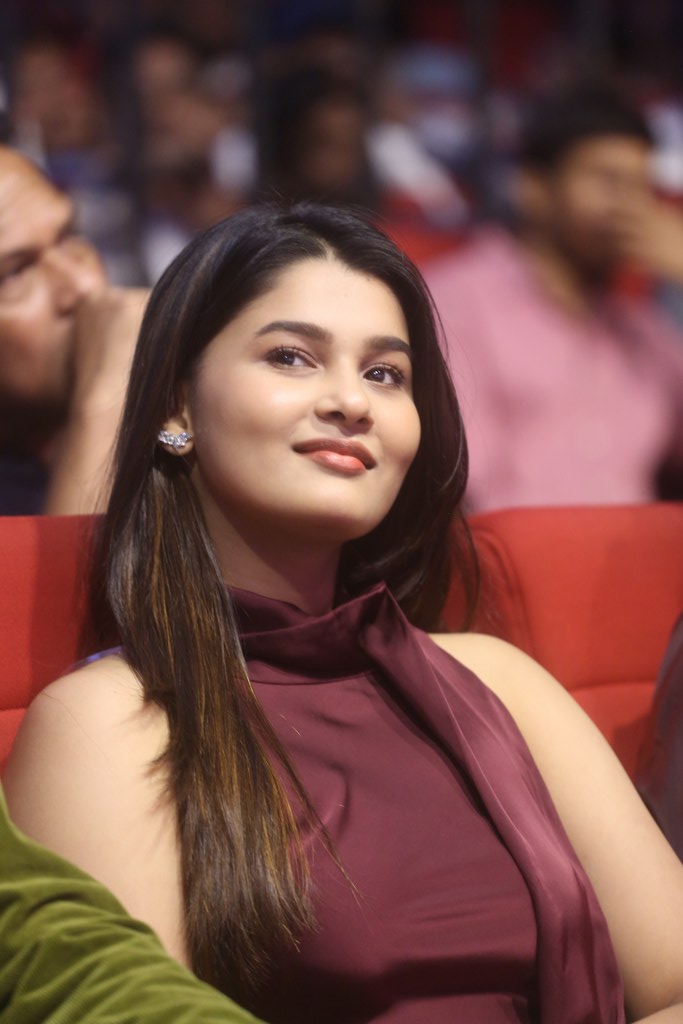 Aadarsha Kutumbam Pre Release Event