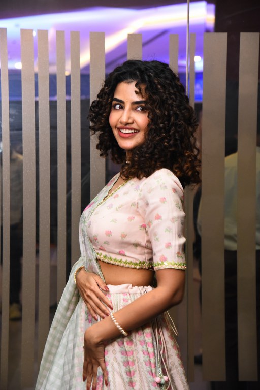 Anupama Parameswaran Shines in Crazy Kalyanam Trailer Launch Event