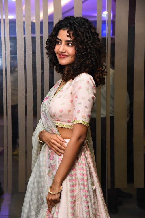 Anupama Parameswaran Shines in Crazy Kalyanam Trailer Launch Event