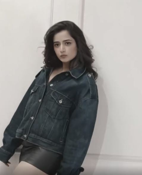 Ashika Ranganath Poses in Short Skirt