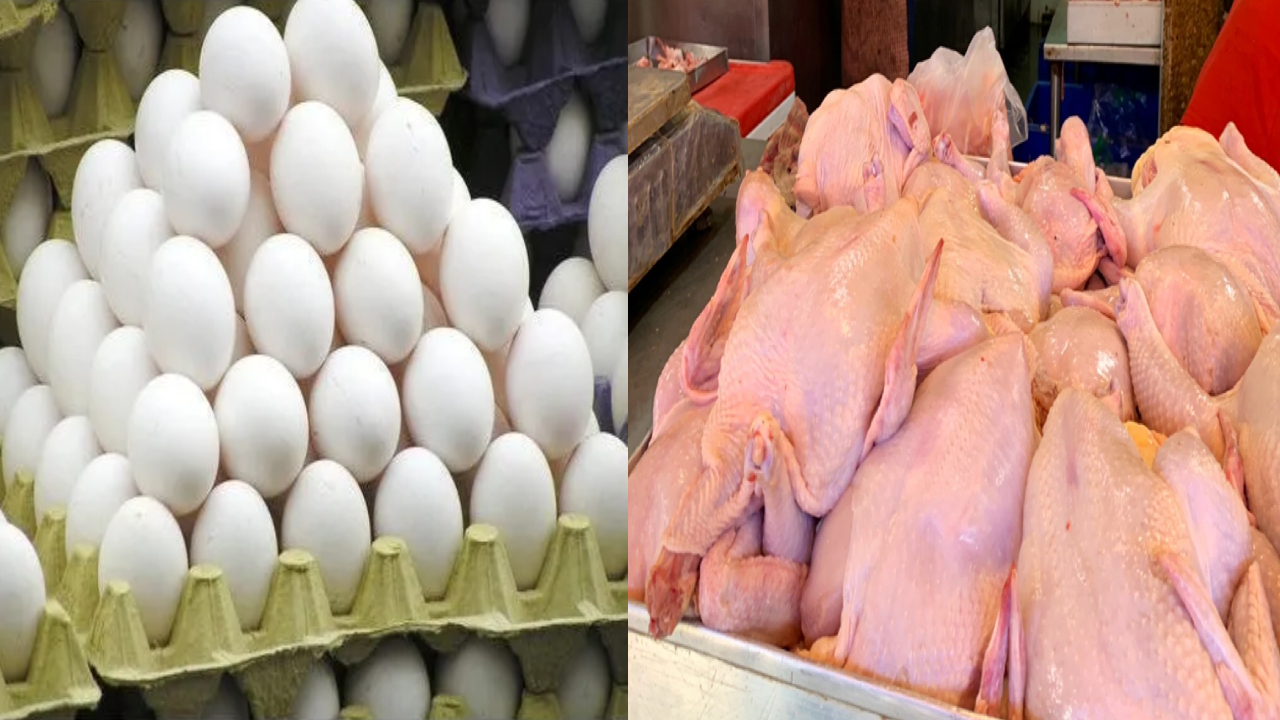Chicken And Egg Price Hike: చికెన్ ప్రియులకు భారీ షాక్.. కిలో ఏకంగా రూ.500? పౌల్ట్రీ పరిశ్రమలో సంక్షోభం!