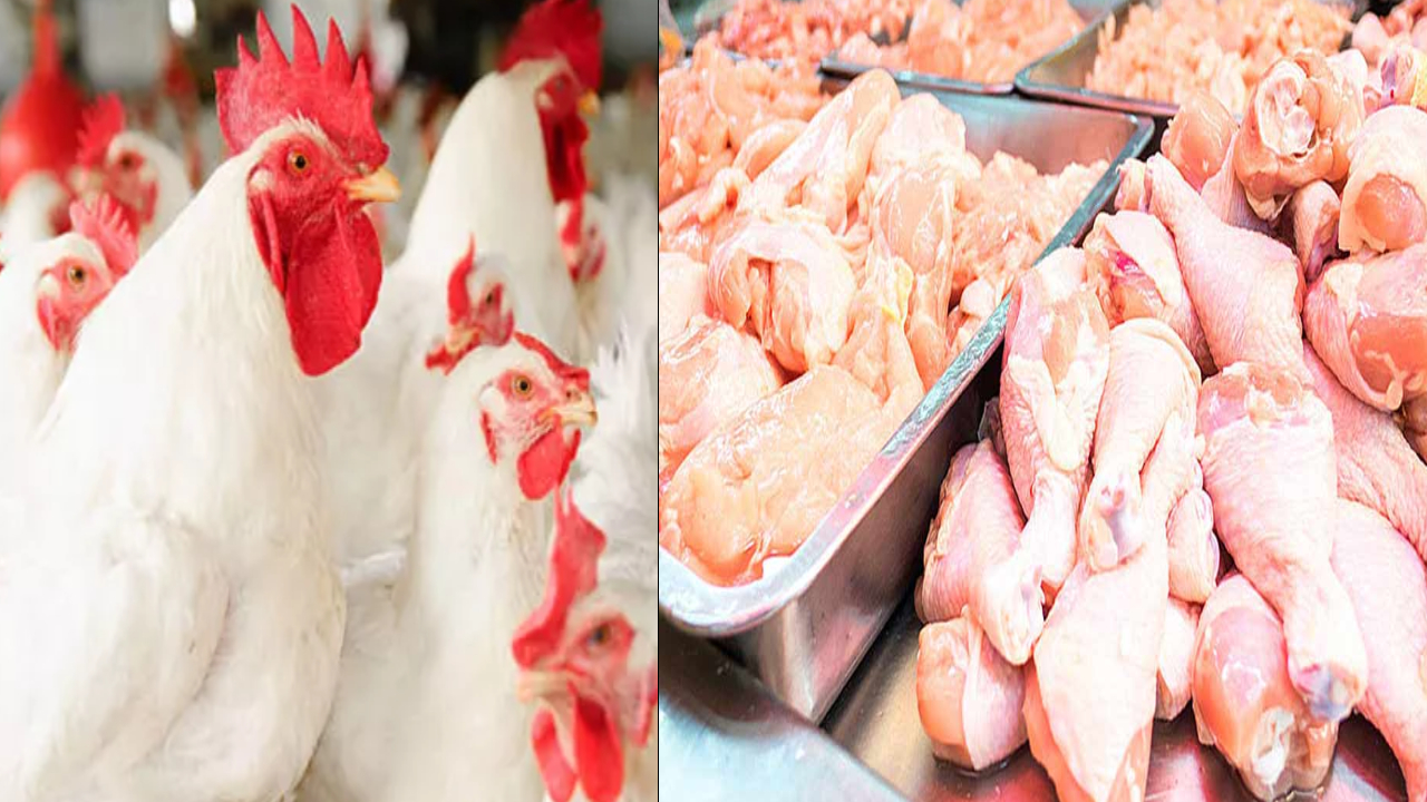 Chicken Price Hike: నాన్ వెజ్ ప్రియులకు బిగ్ షాక్.. భారీగా పెరిగిన చికెన్ ధరలు.. కేజీ ఎంత పెరిగిందో తెలుసా?