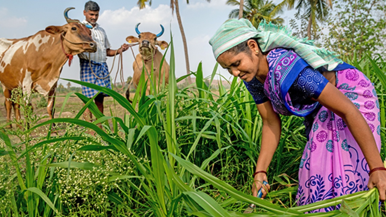 Andhra Pradesh : ఏపీలోని సన్న, చిన్నకారు రైతులకు శుభవార్త.. ఎకరానికి రూ.69వేలు.. వెంటనే ఇలా చేయండి..