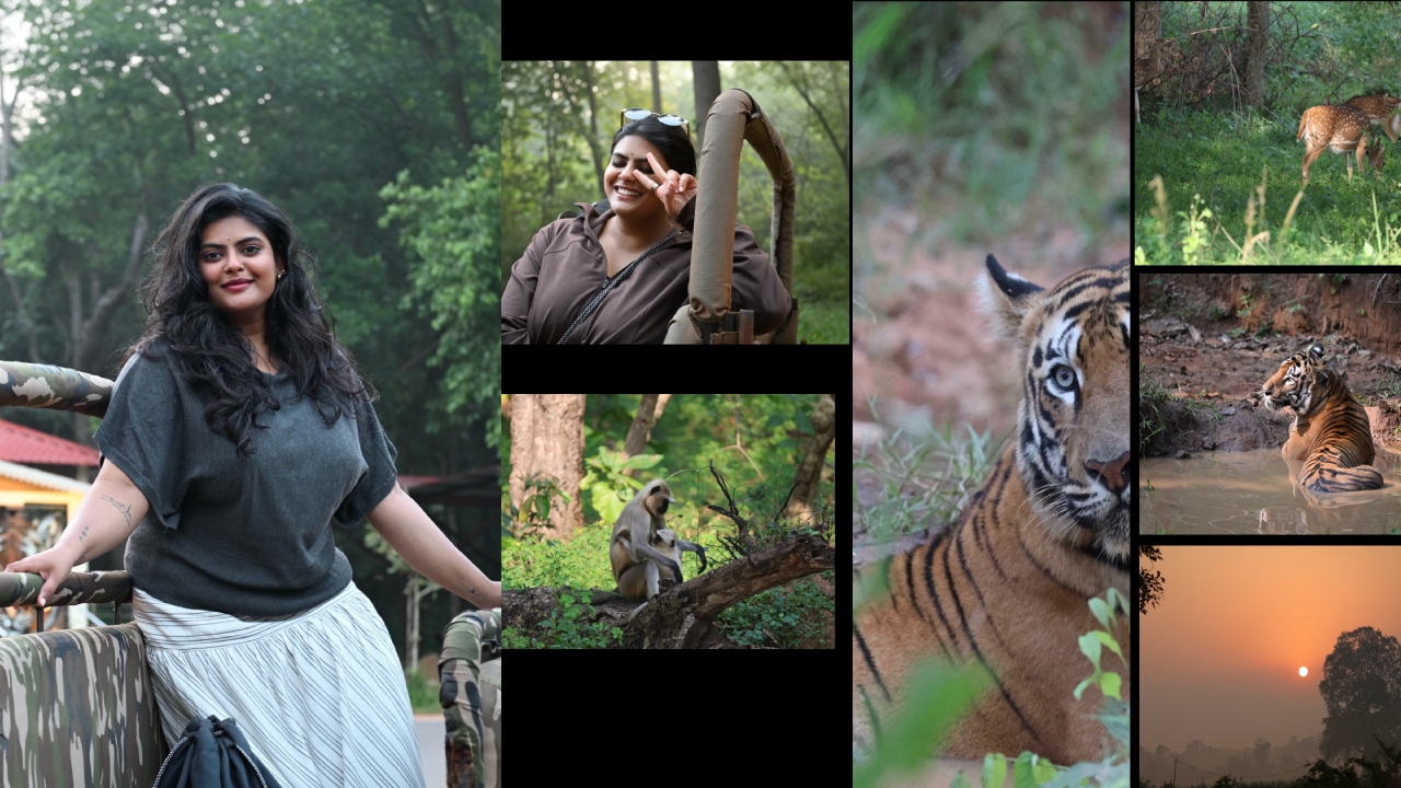Pavithra Puri : పులుల గాథలు, అటవీ గుసగుసల మ‌ధ్య‌.. త‌డోబా అంధారి టైగర్ రిజర్వ్‌లో పూరీ జ‌గ‌న్నాథ్ కూతురు.. ప‌విత్ర ఫోటోలు వైర‌ల్‌..