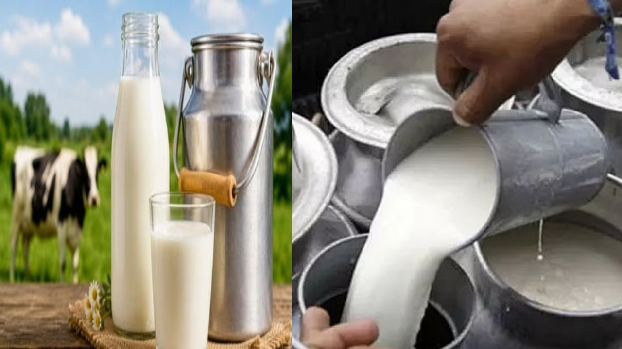 Milk Price Hike: పెరిగిన పాల ధరలు.. లీటరుపై రూ. 8 వడ్డింపు.. సర్కార్ కీలక నిర్ణయం