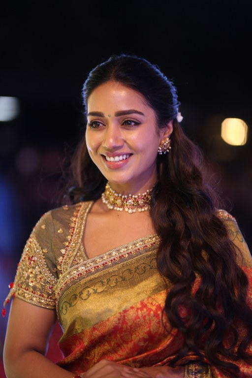 Nivetha Pethuraj Stunning Looks in Saree at Aadarsha Kutumbam Pre Release Event