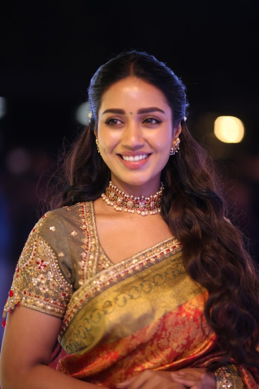 Nivetha Pethuraj Stunning Looks in Saree at Aadarsha Kutumbam Pre Release Event