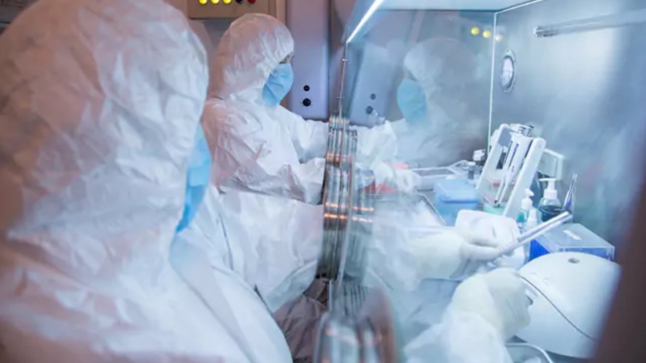 Plague Bacteria : మహమ్మారి మళ్లీ వస్తోందా? ల్యాబ్‌ నుంచి ప్లేగు బ్యాక్టీరియా లీక్.. ఈ వ్యాధి సోకితే కనిపించే లక్షణాలు ఏంటి?
