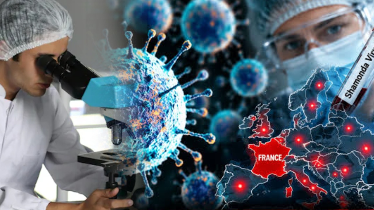 Shamonda Virus : ప్రపంచానికి భయపెడుతున్న మరో కొత్త వైరస్.. తొలిసారి మనుషులకు సోకడంతో వైద్య రంగం షాక్! కొత్త ముప్పు పొంచి ఉందా?